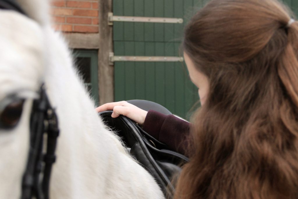 Pferd mit Sattel und Sattler, der die Passform kontrolliert.